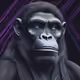 V Ape #589