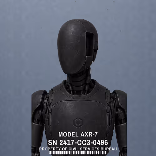 Item #496 Media