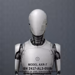 Item Media
