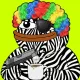 251