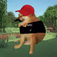 BONKED DOGS #3022