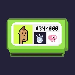 Cassette #333