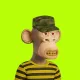 Robin Apes 3D #1394