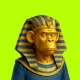 Robin Apes 3D #238