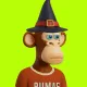 Robin Apes 3D #16