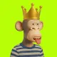 Robin Apes 3D #151