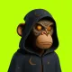 Robin Apes 3D #330