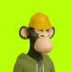 Robin Apes 3D #172