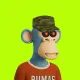 Robin Apes 3D #235