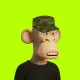 Robin Apes 3D #13