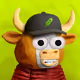 Bull Market # 2433