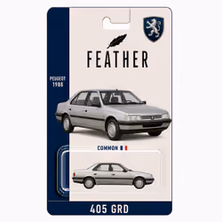Peugeot 405 GRD (1988) — #273