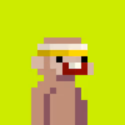 Hood Monke #34