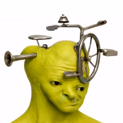 Item Media