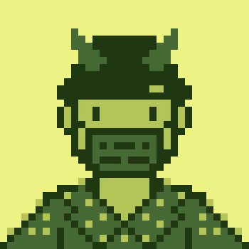 RAIDER #3310