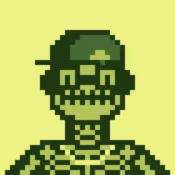 RAIDER #4794