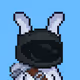 Bunny Brokers #2349