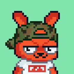 Bunny Brokers #1381