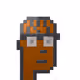 2529