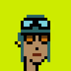 Crypto2Punk2Robinhood #2491