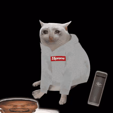 Cash Cat #2707