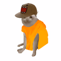 Cash Cat #4698