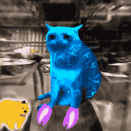 Cash Cat #6422