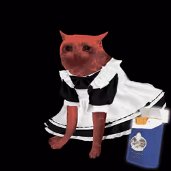 Cash Cat #546