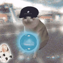 Cash Cat #246
