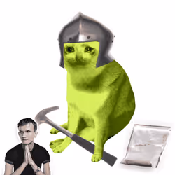 Cash Cat #5844