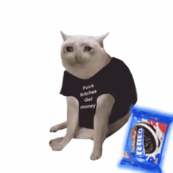 Cash Cat #9031