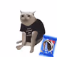 9031