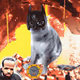 Cash Cat #3283