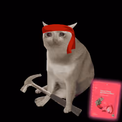 Cash Cat #6886