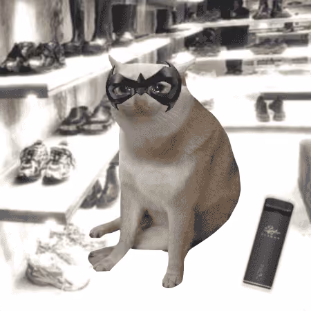 Cash Cat #5274