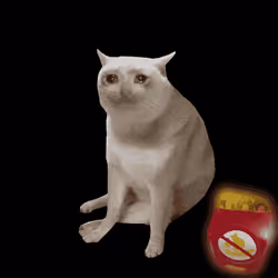 Cash Cat #6373