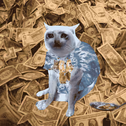 Cash Cat #7830