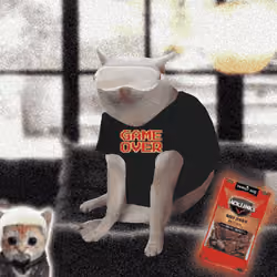 Cash Cat #408