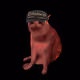 2667
