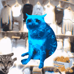 Cash Cat #3910