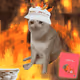 Cash Cat #9086