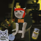 Cash Cat #2812