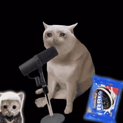 Cash Cat #9706