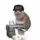 3794