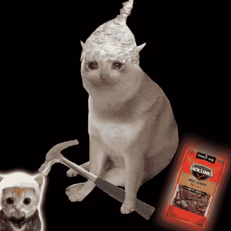Cash Cat #5829