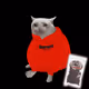 8107