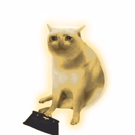Cash Cat #123