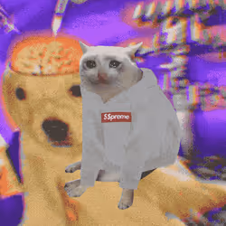 Cash Cat #7125