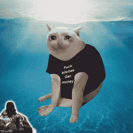 Cash Cat #819