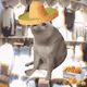 9596